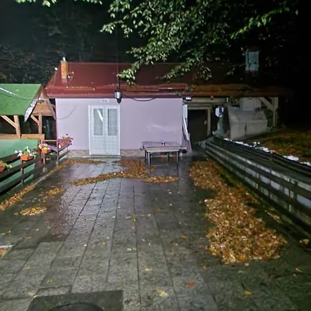 Vera Jastrebac * Buci