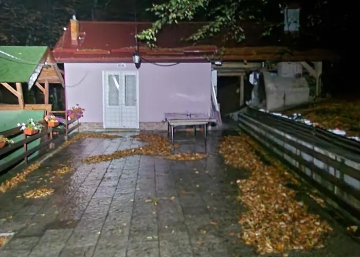 Vera Jastrebac * Buci